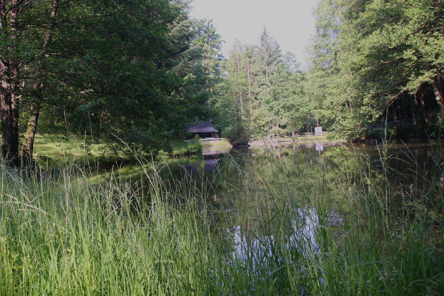 Hotel Zur Morschbach Altlay Exteriér fotografie